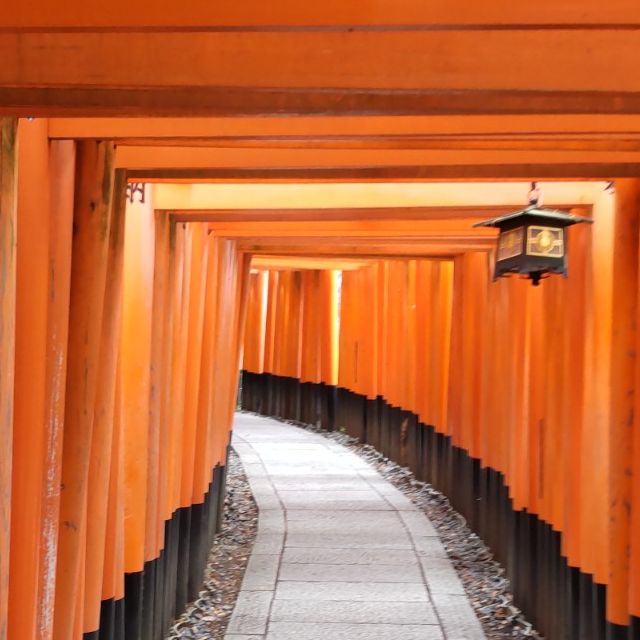 写真の説明を入れます