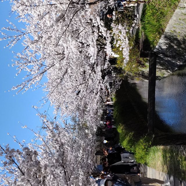 写真の説明を入れます