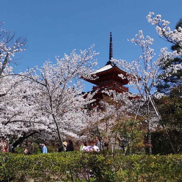 写真の説明を入れます