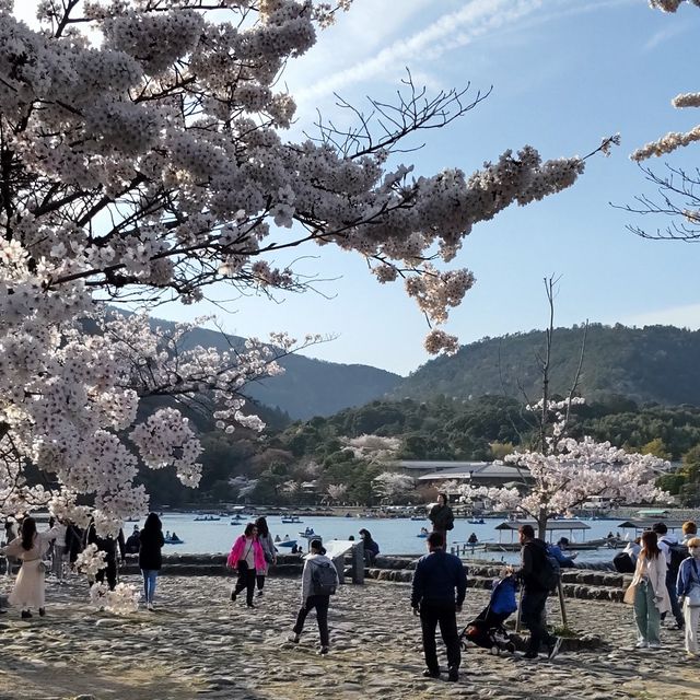 写真の説明を入れます