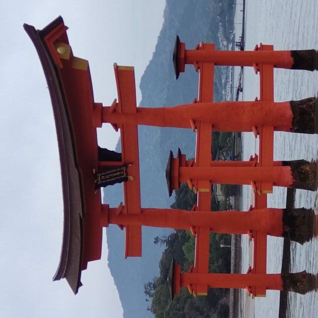 写真の説明を入れます