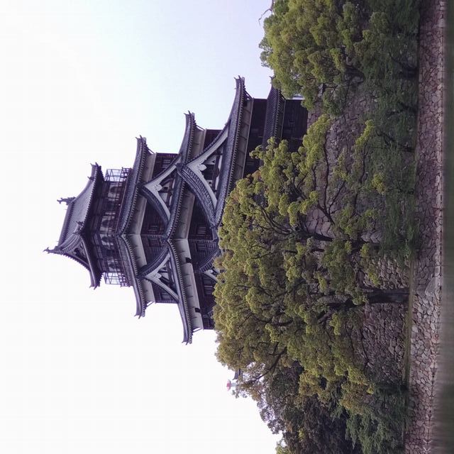 写真の説明を入れます