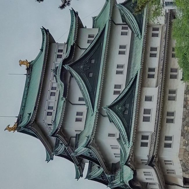 写真の説明を入れます