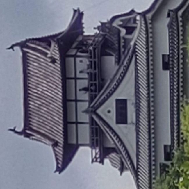 写真の説明を入れます