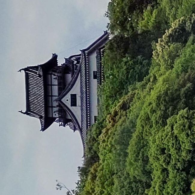 写真の説明を入れます