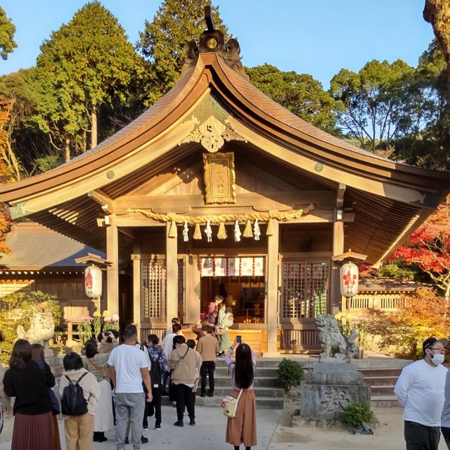 写真の説明を入れます