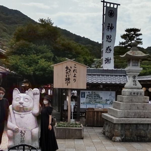 写真の説明を入れます